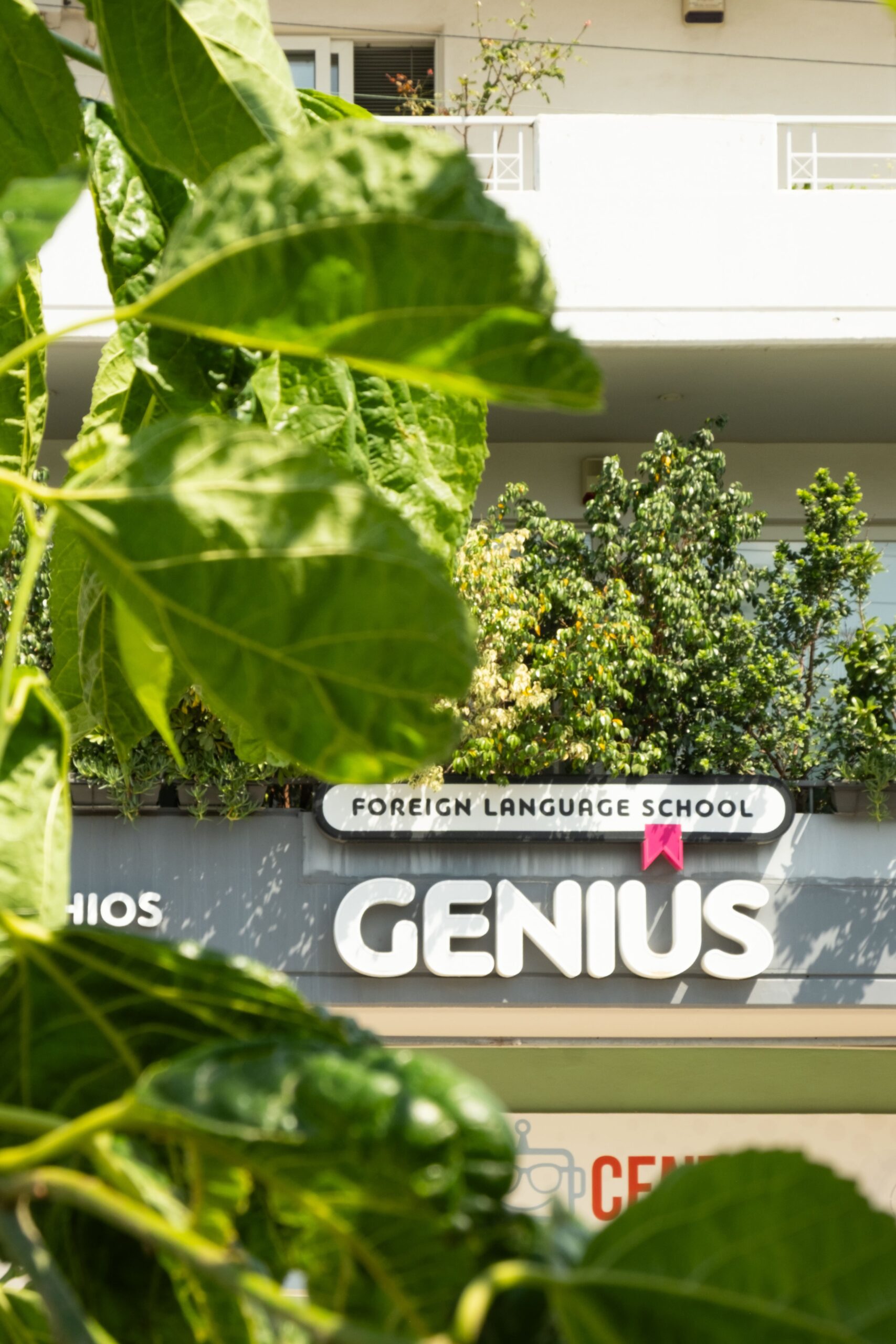 GENIUS_1-31
